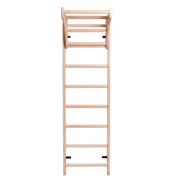 Gymnastický žebřík 111