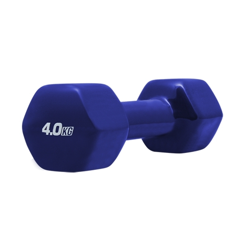 Dumbbell 4 kg