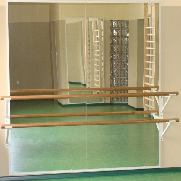 Smooth wall mirror with double handrails