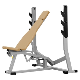 Nastavitelný bench press JP-12/R