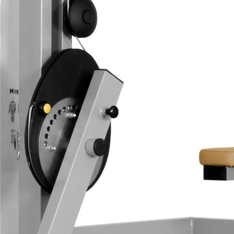 Gesäßmuskeln JP-39