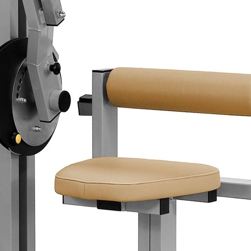 Rückenmuskeln JP-33A