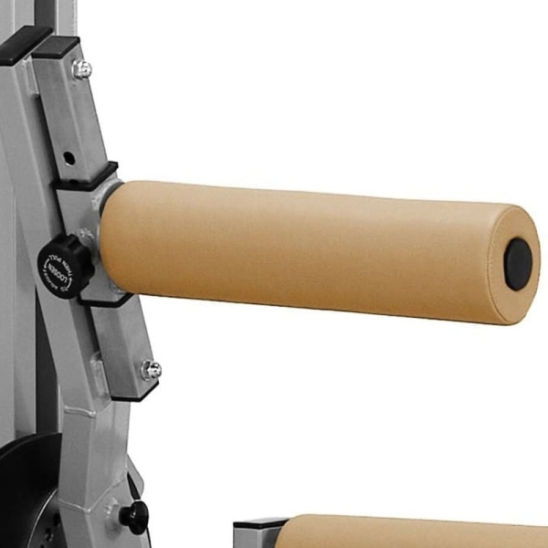 Rückenmuskeln JP-33A