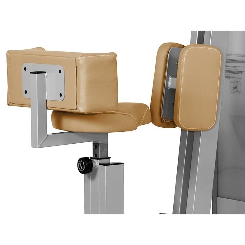 Schräge Bauchmuskeln JP-31