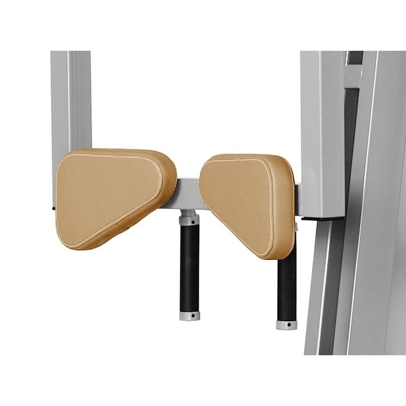 Schräge Bauchmuskeln JP-31