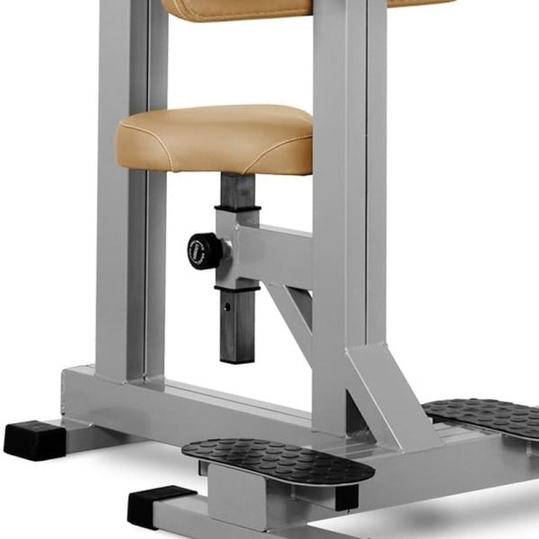 Schulter Trizeps JP-19