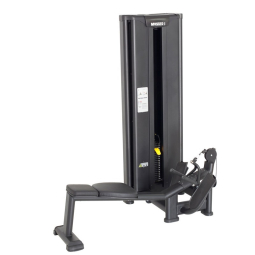 Auszug von unten. BioMotion (BMM 22)