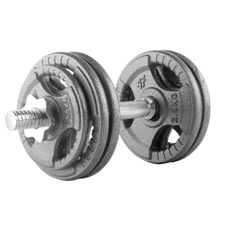 Beltor PF Line Hantla żeliwna - Cast Iiron Dumbbell szara-hammertone 15kg / 28mm