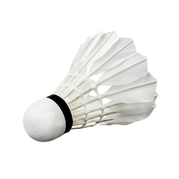 Wish Badminton-Federball S505-06, Federgewicht weiß