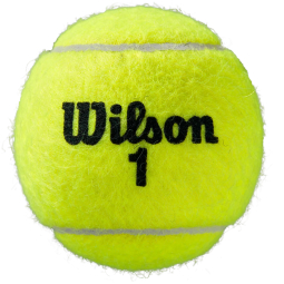 Tenisový míč Wilson Roland Garros