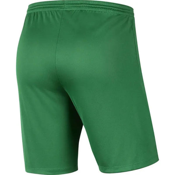 Men's shorts Nike Dry Park III NB K color - green