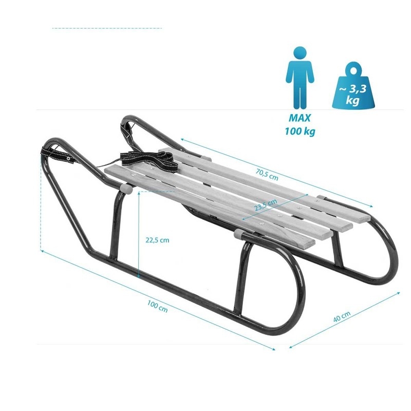 Metallschlitten, 2-sitzig, blau