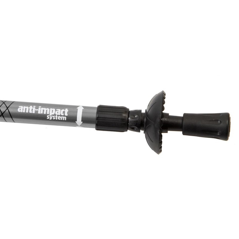 Enero Classic-Trekkingstöcke, Farbe Silber