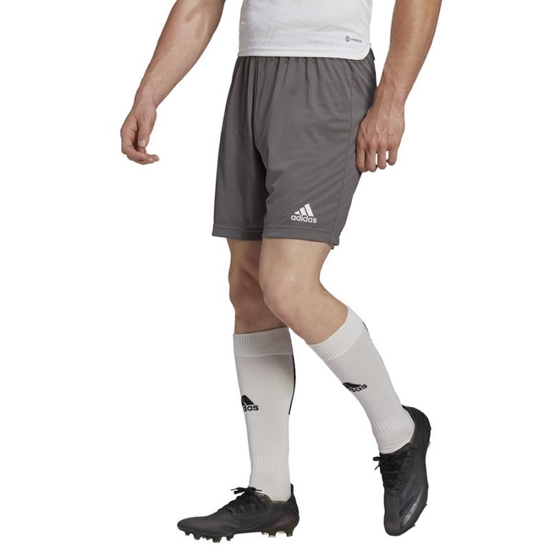 Adidas ENT22 SHO shorts, grey color