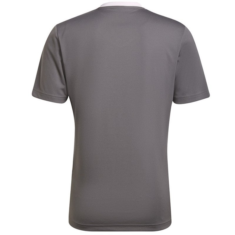 Adidas Entrada T-shirt, 22JSY, gray color