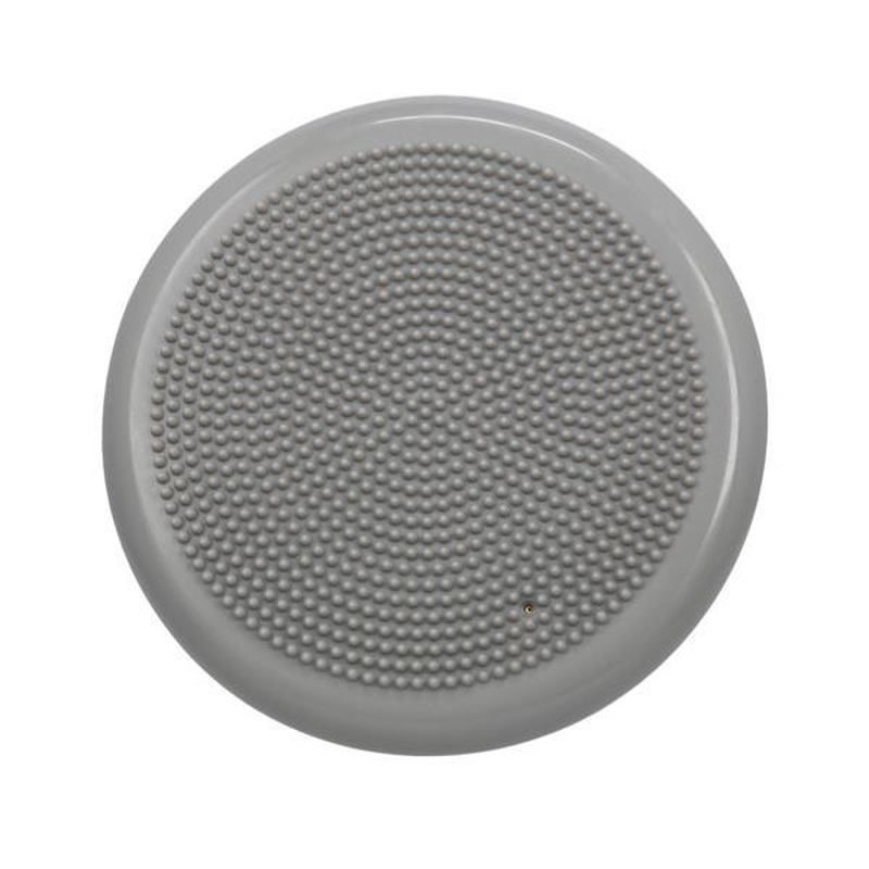 Sensomotorisches Kissen HMS PSM10