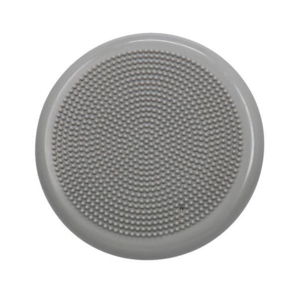 Sensomotorisches Kissen HMS PSM10