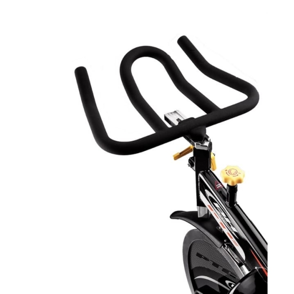 BH Fitness Duke H920 spinning bike