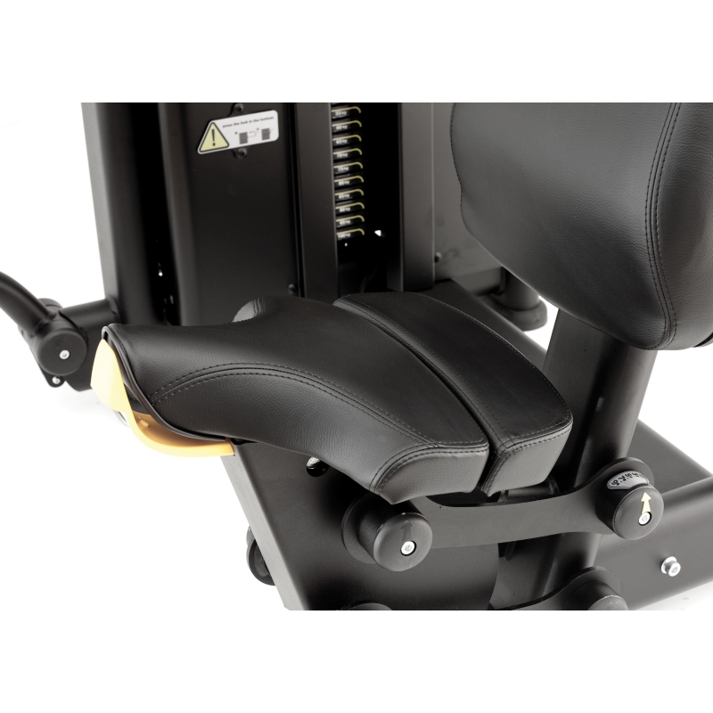 Butterfly-Rückenmuskeln. BioMotion (BMM 26)