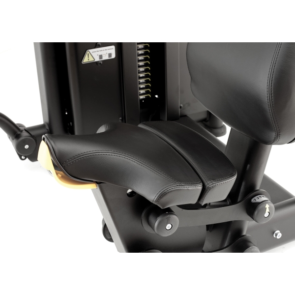 Butterfly-Rückenmuskeln. BioMotion (BMM 26)