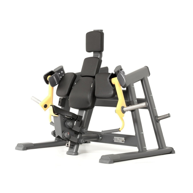 Schulter-Bizeps NS04