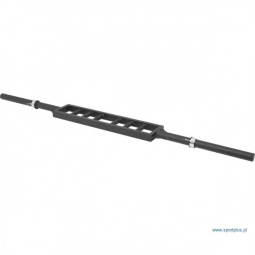 Olympic Griffin Schweizer Reck