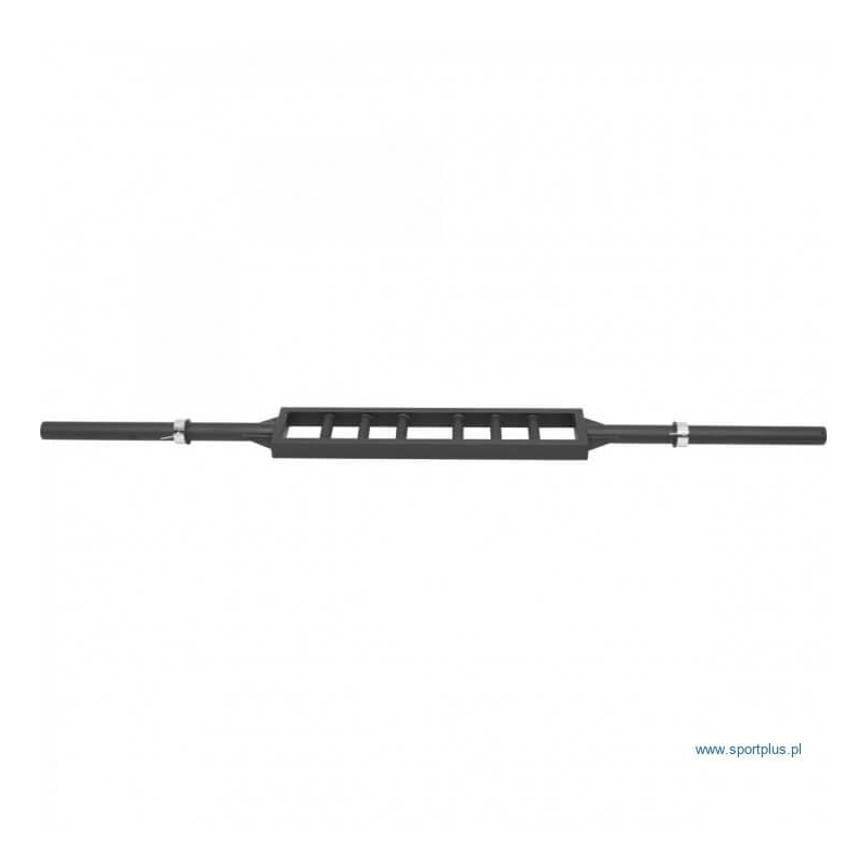 Olympic Griffin Schweizer Reck