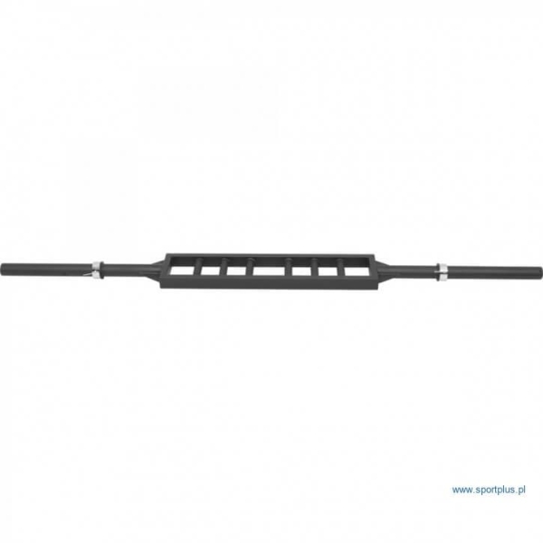 Olympic Griffin Schweizer Reck