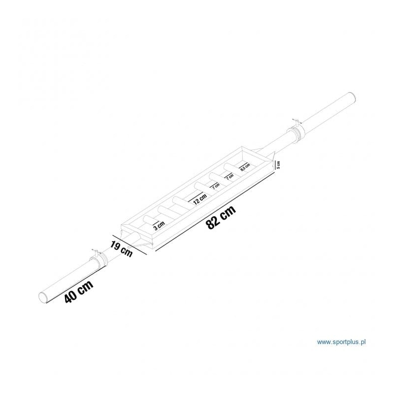 Olympic Griffin Schweizer Reck