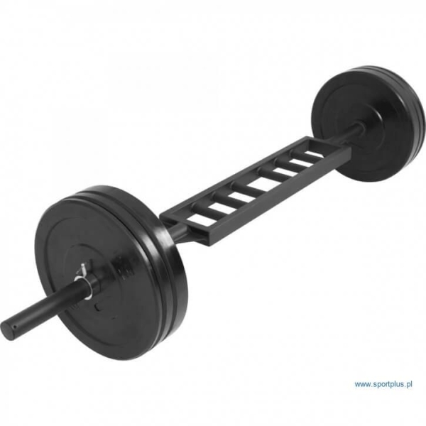 Olympic Griffin Schweizer Reck