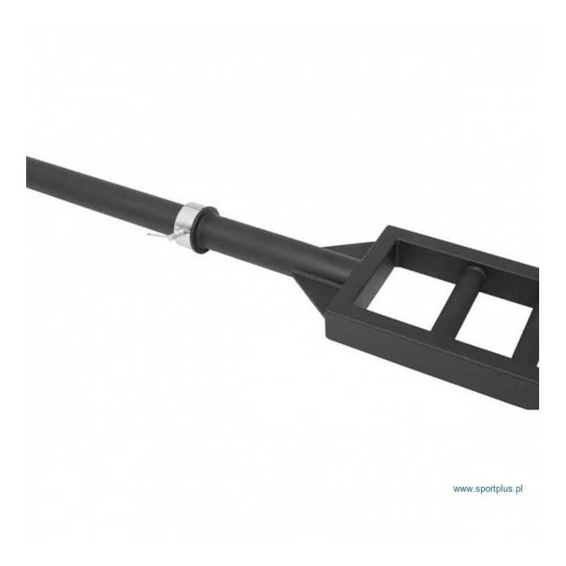 Olympic Griffin Schweizer Reck