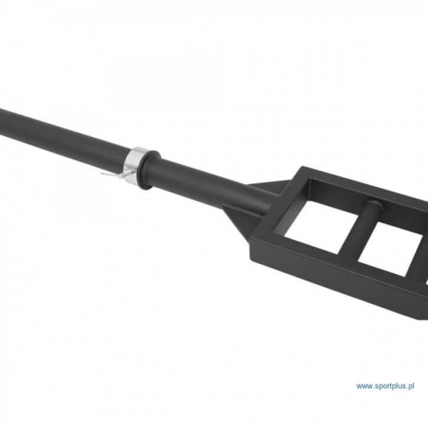 Olympic Griffin Schweizer Reck