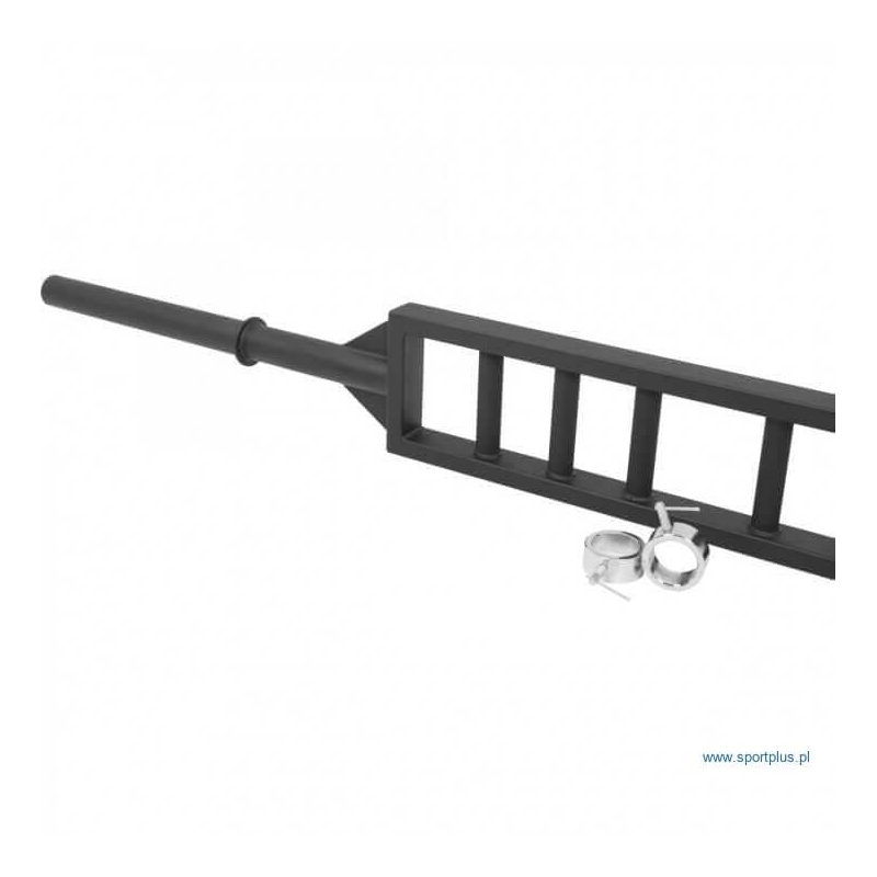 Olympic Griffin Schweizer Reck