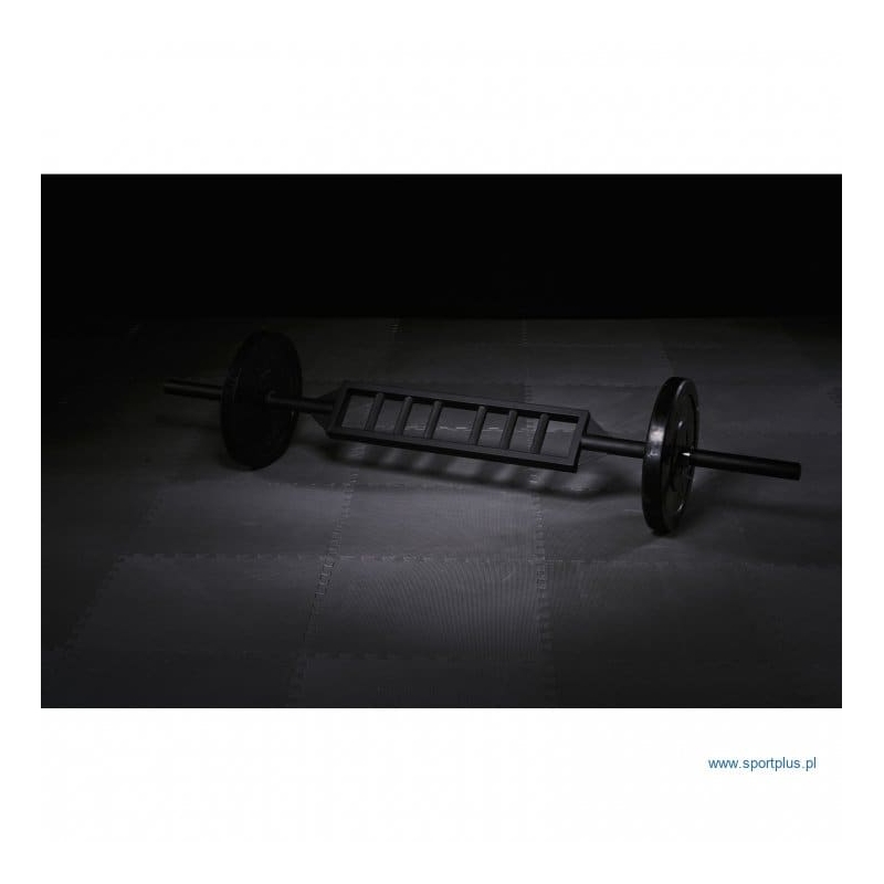 Olympic Griffin Schweizer Reck