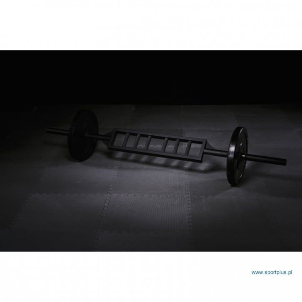 Olympic Griffin Schweizer Reck