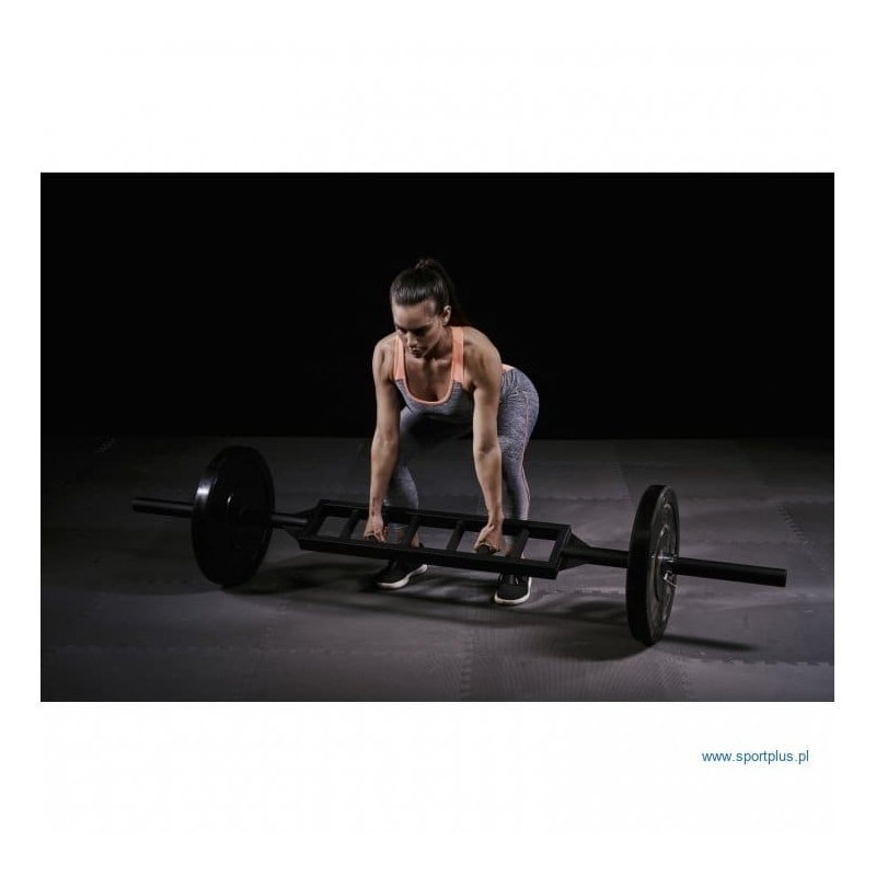 Olympic Griffin Schweizer Reck