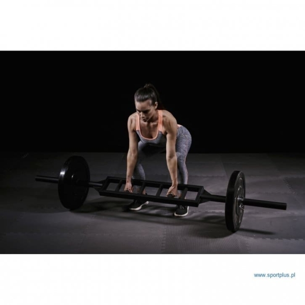 Olympic Griffin Schweizer Reck