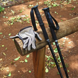 Trekking poles