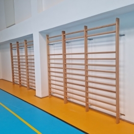 Wall-mounted gymnastic ladders