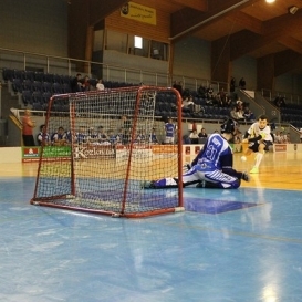 Floorball goals